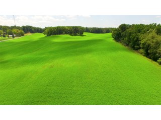TRACT 3 - REAL ESTATE AUCTION - 2 PRESTIGUOUS HOMES - 66+/- ACRES IN 5 TRACTS IN NOBLE COUNTY, INDIANA